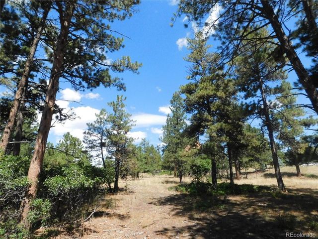 1392 Cameron Court, Larkspur, CO 80118