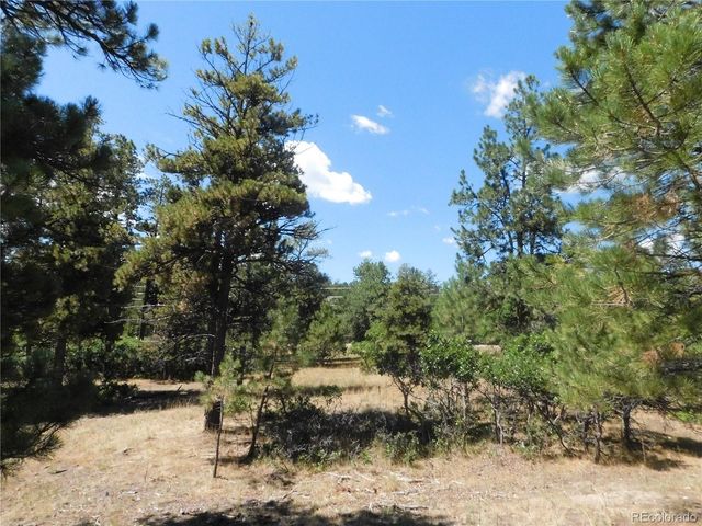1392 Cameron Court, Larkspur, CO 80118