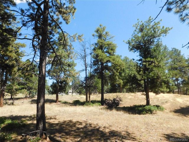1392 Cameron Court, Larkspur, CO 80118