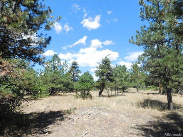 1392 Cameron Court, Larkspur, CO 80118