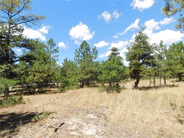 1392 Cameron Court, Larkspur, CO 80118