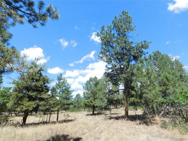1392 Cameron Court, Larkspur, CO 80118