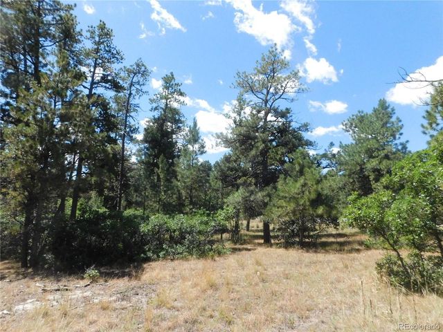 1392 Cameron Court, Larkspur, CO 80118