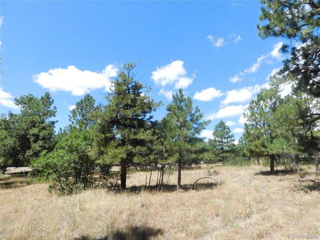 1392 Cameron Court, Larkspur, CO 80118