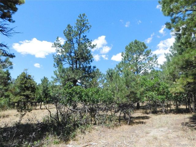 1392 Cameron Court, Larkspur, CO 80118