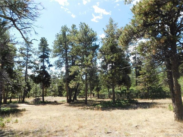 1392 Cameron Court, Larkspur, CO 80118