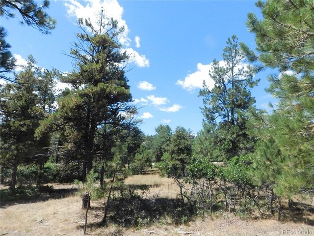1392 Cameron Court, Larkspur, CO 80118