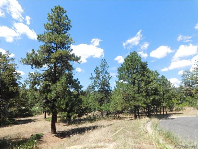 1392 Cameron Court, Larkspur, CO 80118