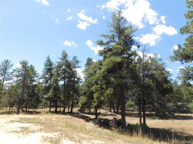 1392 Cameron Court, Larkspur, CO 80118