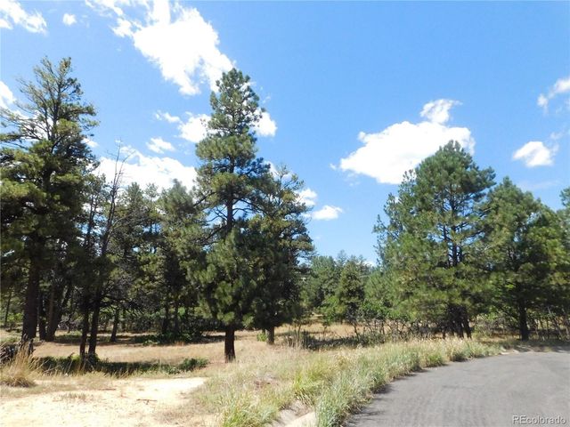 1392 Cameron Court, Larkspur, CO 80118