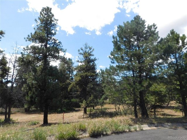 1392 Cameron Court, Larkspur, CO 80118