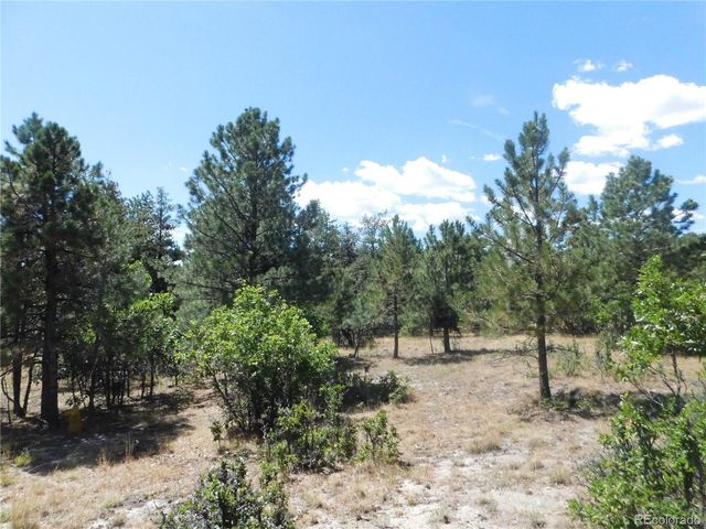 1392 Cameron Court, Larkspur, CO 80118