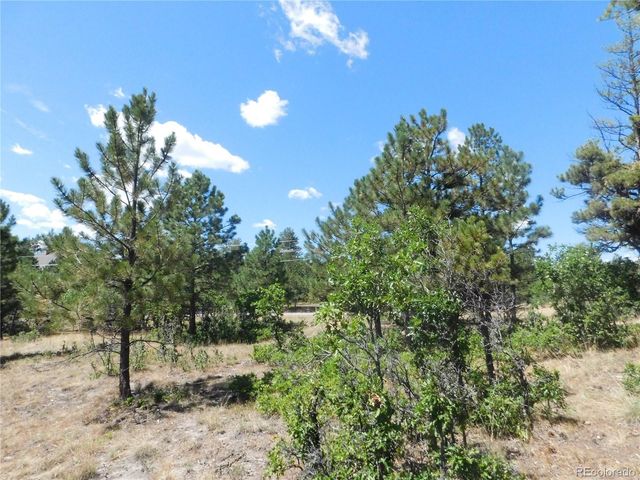 1392 Cameron Court, Larkspur, CO 80118