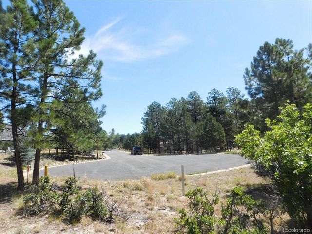 1392 Cameron Court, Larkspur, CO 80118