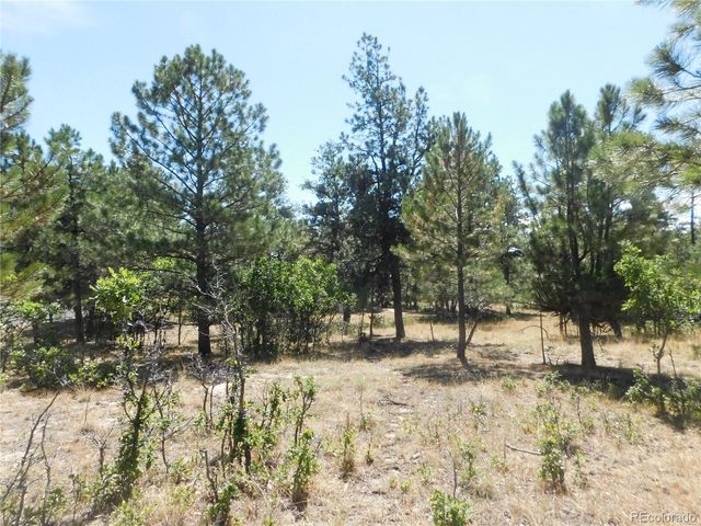 1392 Cameron Court, Larkspur, CO 80118