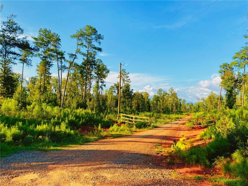 1374 Hopewell Road, Forsyth, GA 31029