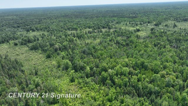 6002 Wildwood Drive, Alger, MI 48610
