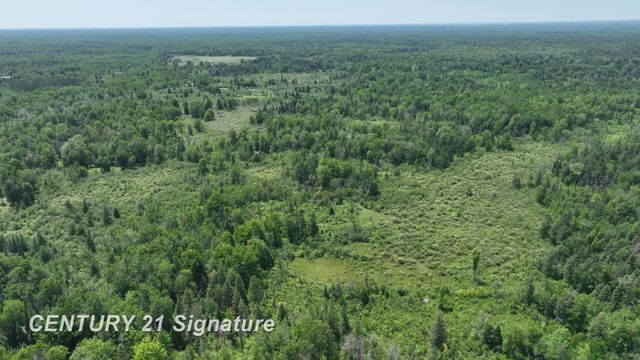 6002 Wildwood Drive, Alger, MI 48610