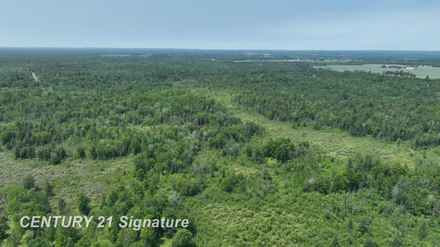 6002 Wildwood Drive, Alger, MI 48610