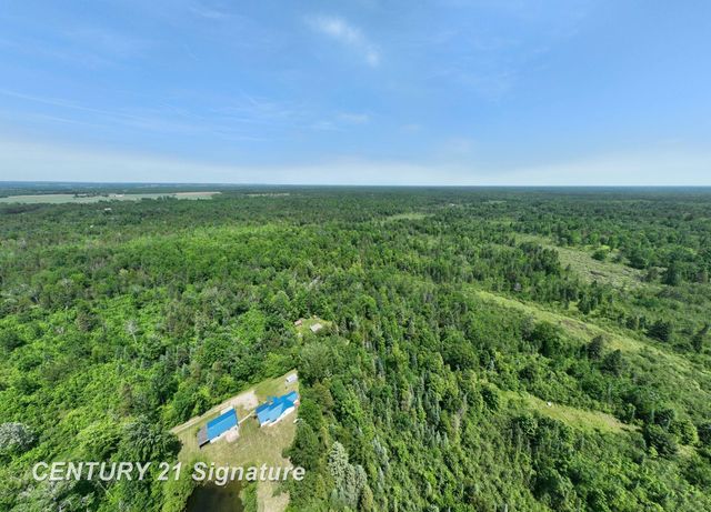 6002 Wildwood Drive, Alger, MI 48610