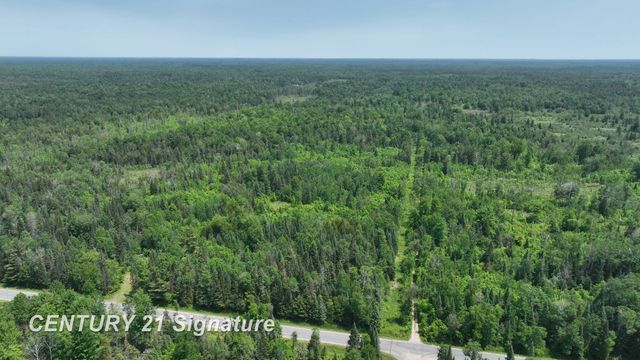 6002 Wildwood Drive, Alger, MI 48610