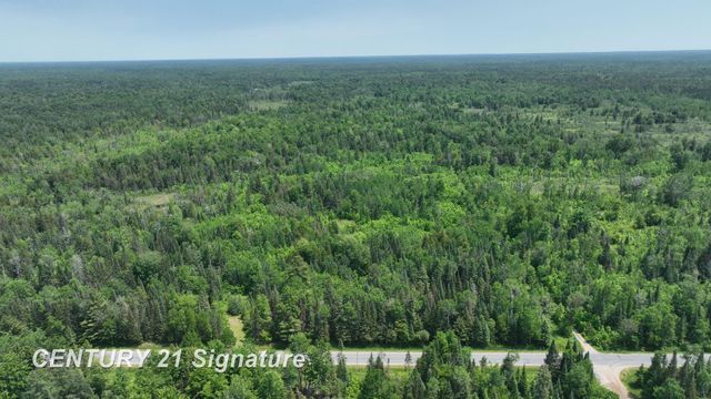 6002 Wildwood Drive, Alger, MI 48610