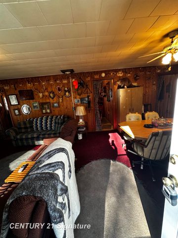 6002 Wildwood Drive, Alger, MI 48610
