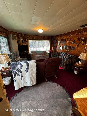 6002 Wildwood Drive, Alger, MI 48610