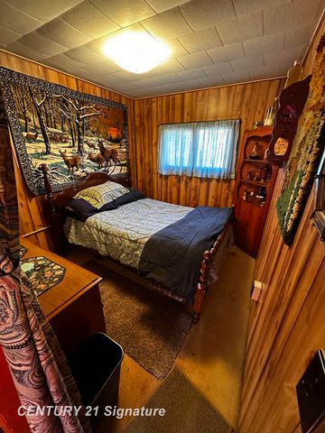 6002 Wildwood Drive, Alger, MI 48610