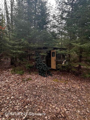 6002 Wildwood Drive, Alger, MI 48610