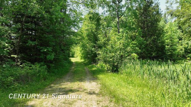 6002 Wildwood Drive, Alger, MI 48610