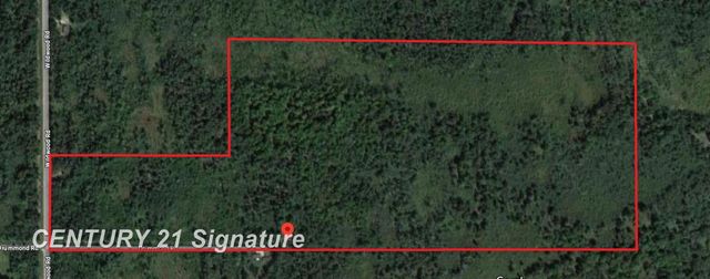 6002 Wildwood Drive, Alger, MI 48610