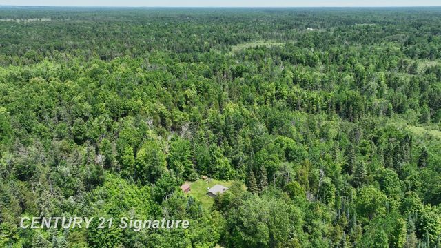 6002 Wildwood Drive, Alger, MI 48610
