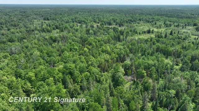 6002 Wildwood Drive, Alger, MI 48610
