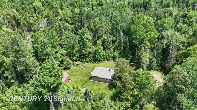 6002 Wildwood Drive, Alger, MI 48610