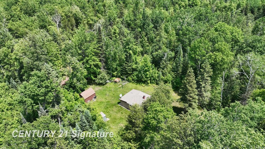 6002 Wildwood Drive, Alger, MI 48610