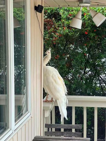 59 Hazelwood Drive, Jericho, NY 11753