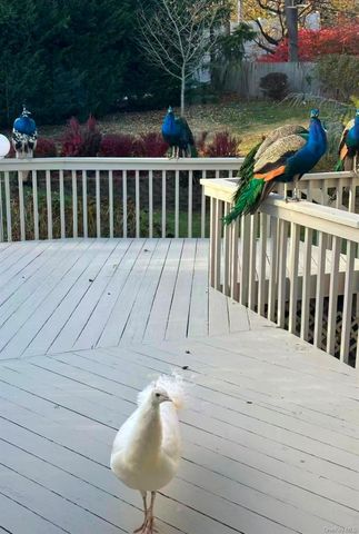 59 Hazelwood Drive, Jericho, NY 11753