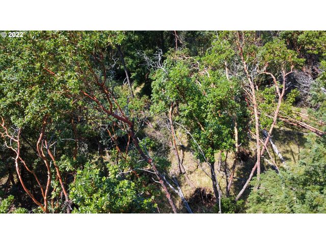 1105 SUNSHINE Rd, Roseburg, OR 97470