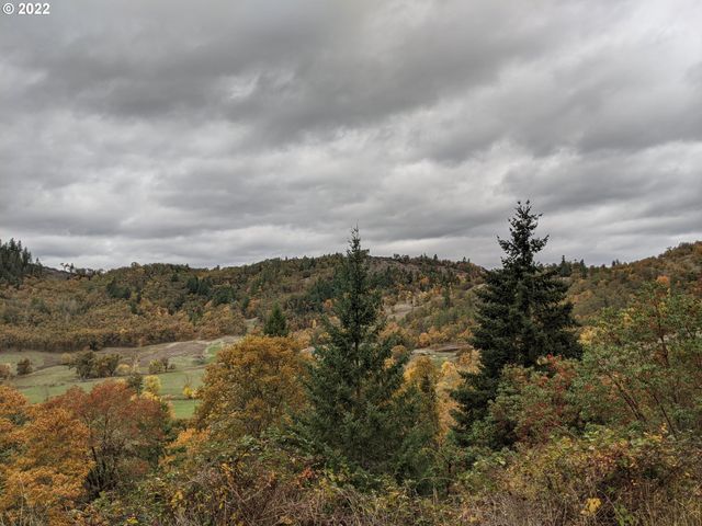 1105 SUNSHINE Rd, Roseburg, OR 97470