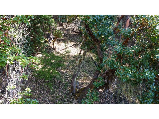 1105 SUNSHINE Rd, Roseburg, OR 97470