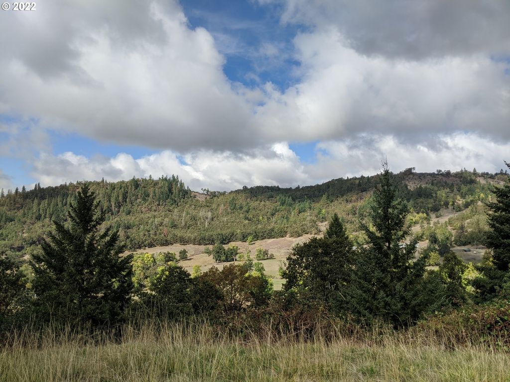 1105 SUNSHINE Rd, Roseburg, OR 97470
