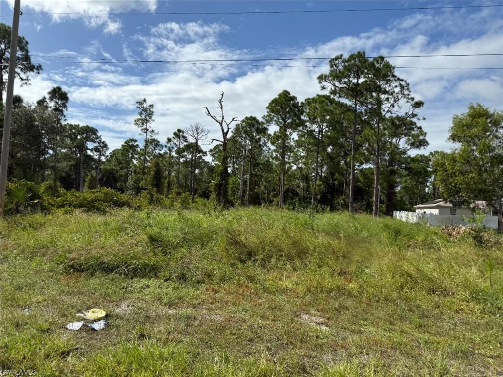 1013 Grant BLVD, LEHIGH ACRES, FL 33974 — photo 3