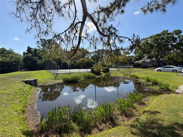 274 BUCKINGHAM PLACE, Palm Harbor, FL 34684