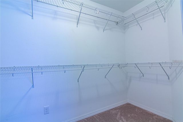 1977 NATURE VIEW DRIVE, Lutz, FL 33558