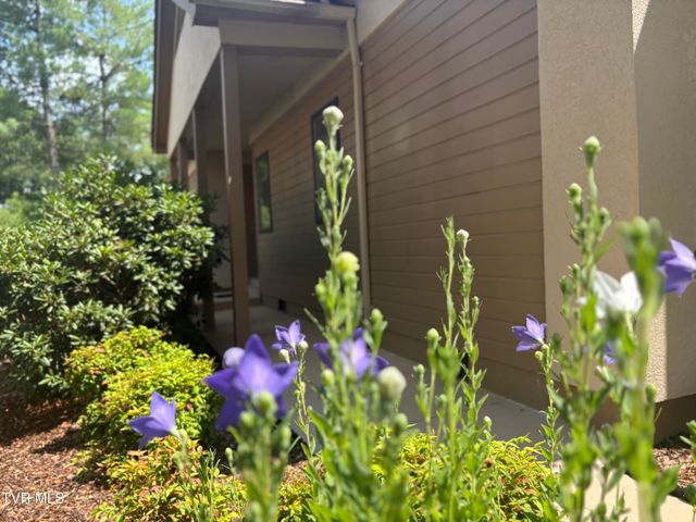 829 Xanadu Court, Johnson City, TN 37604