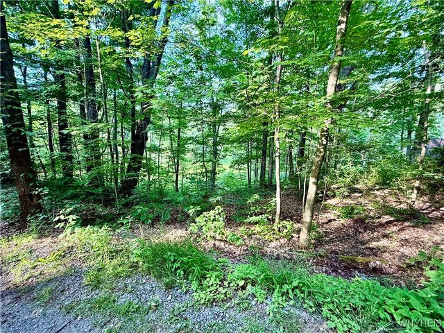 7084A Boston Colden Rd A, Boston, NY 14025