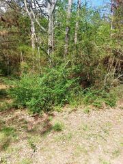 TBD 00 Hummingbird Lane, Hempstead, TX 77445