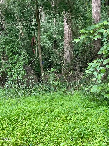 00 Pleasant Hill Church Road, Siler City, NC 27344