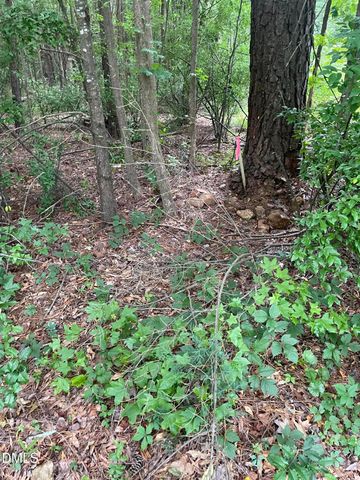00 Pleasant Hill Church Road, Siler City, NC 27344